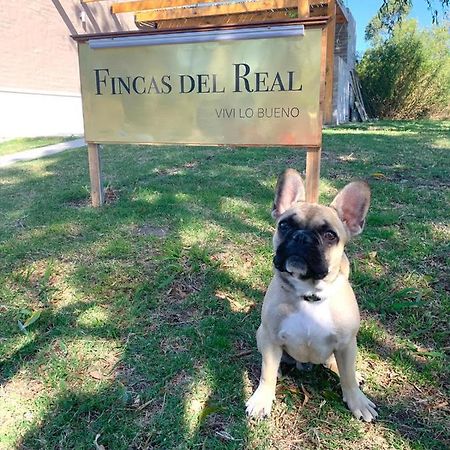 Fincas Del Real Colonia del Sacramento Exterior foto